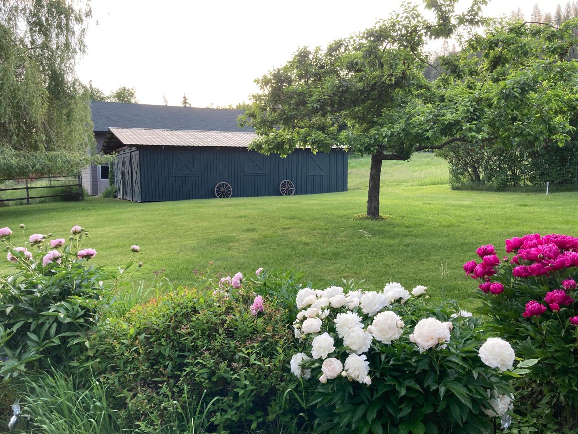 Hideaway Ranch Pension Bonners Ferry Buitenkant foto
