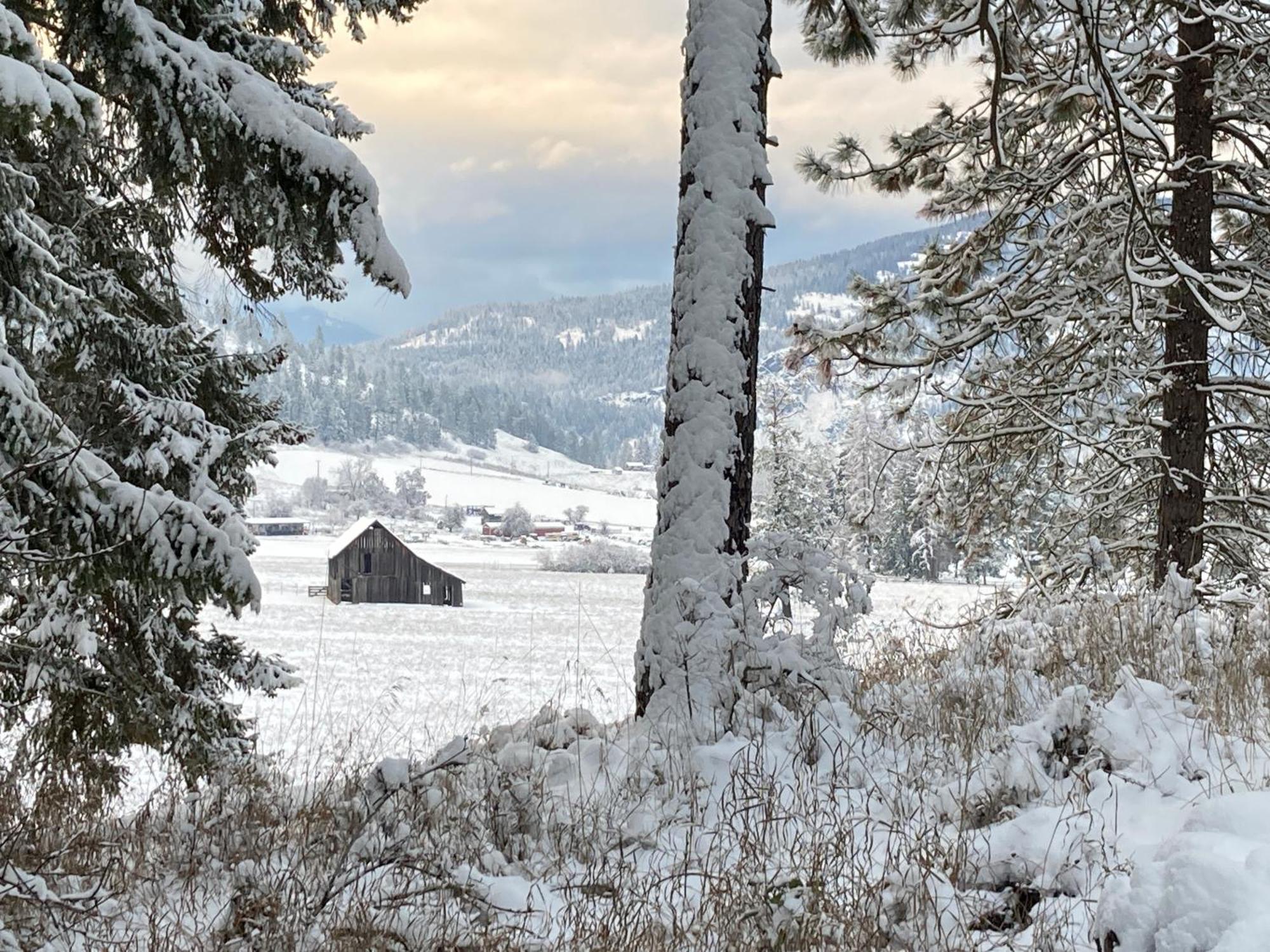 Hideaway Ranch Pension Bonners Ferry Kamer foto