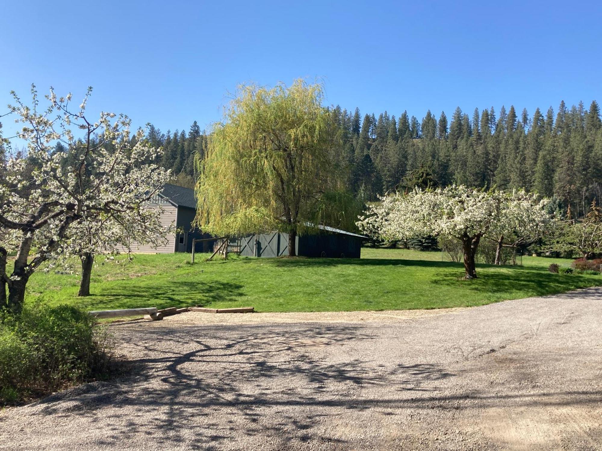 Hideaway Ranch Pension Bonners Ferry Kamer foto