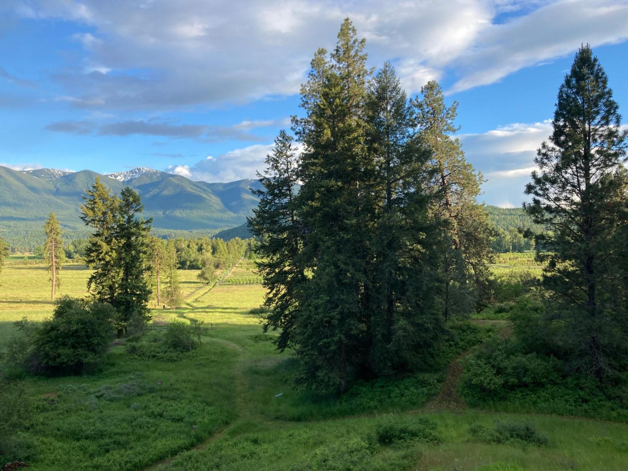 Hideaway Ranch Pension Bonners Ferry Buitenkant foto